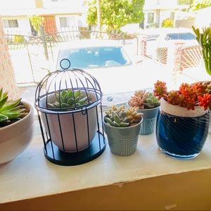 Meet your Posher, Jeffrey